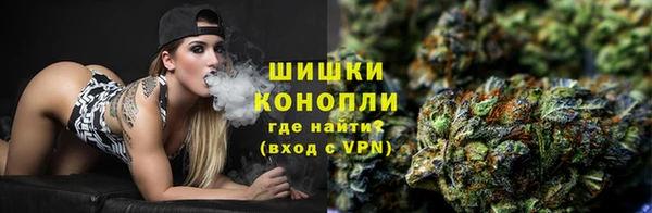 гидра Белокуриха
