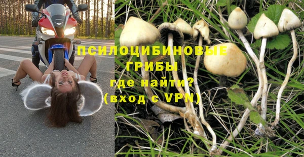 ALPHA PVP Сясьстрой