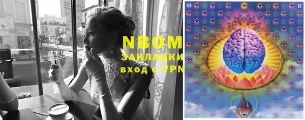 гидра Белокуриха