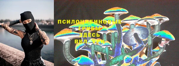 гашик Беломорск