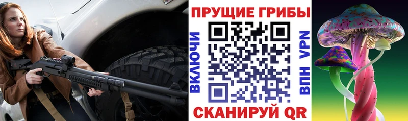 дарк нет состав  ссылка на мегу зеркало  Бугульма  Галлюциногенные грибы прущие грибы 