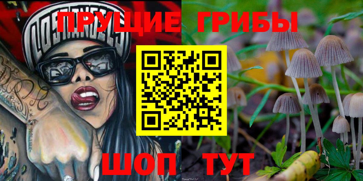 Бугульма  Псилоцибиновые грибы Psilocybine cubensis  Вход с VPN 