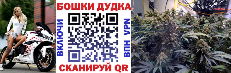 Бошки Шишки план купить наркотик Бугульма